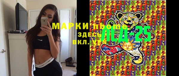 сатива Арсеньев