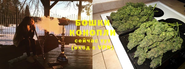 сатива Арсеньев