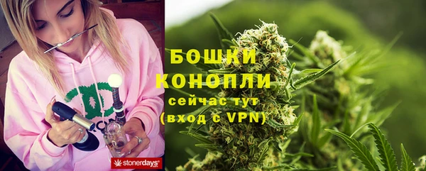 сатива Арсеньев