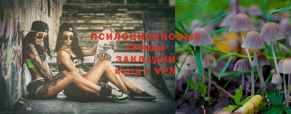сатива Арсеньев