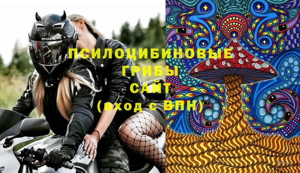 сатива Арсеньев