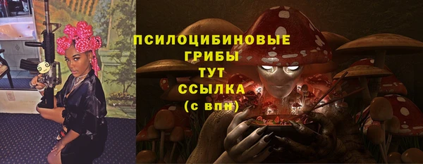 сатива Арсеньев